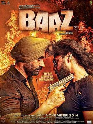 Baaz 2014