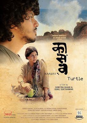 Kaasav: Turtle 2017