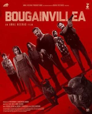 Bougainvillea 2024