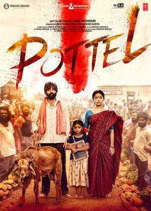 Pottel 2024