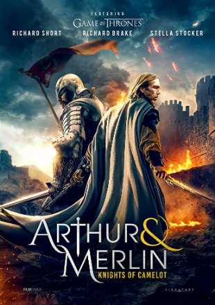 Arthur & Merlin Knights Of Camelot 2020