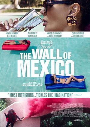 The Wall Of Mexico 2020