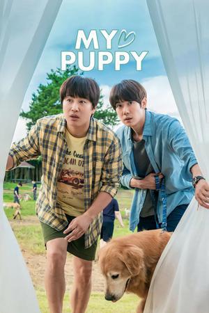 My Heart Puppy 2023