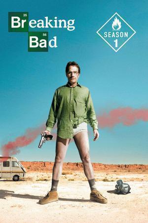 Breaking Bad S01 2008