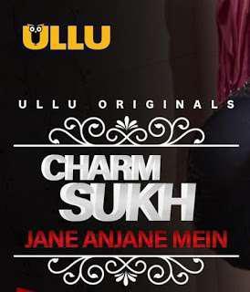 Charmsukh (Jane Anjane Mein) S01 2020